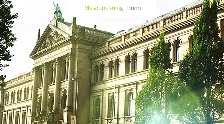 Ausstellungs- und Museumsbauten