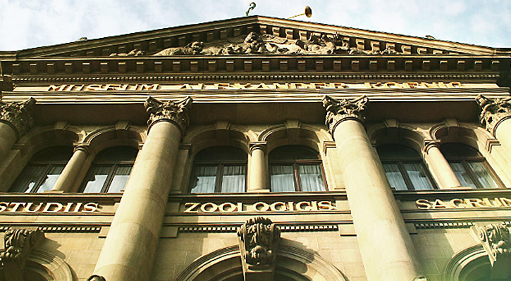 Ausstellungs- und Museumsbauten