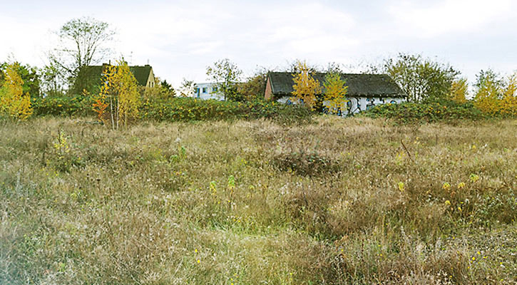 Flächendevelopment